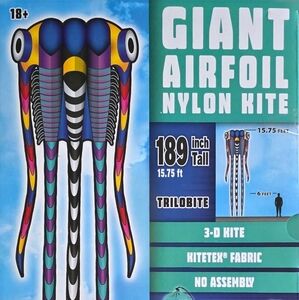 Giant airfoil nylon kite--Trilobite